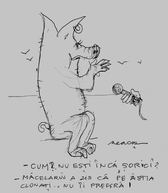 Caricatură de Lucian Neacşu