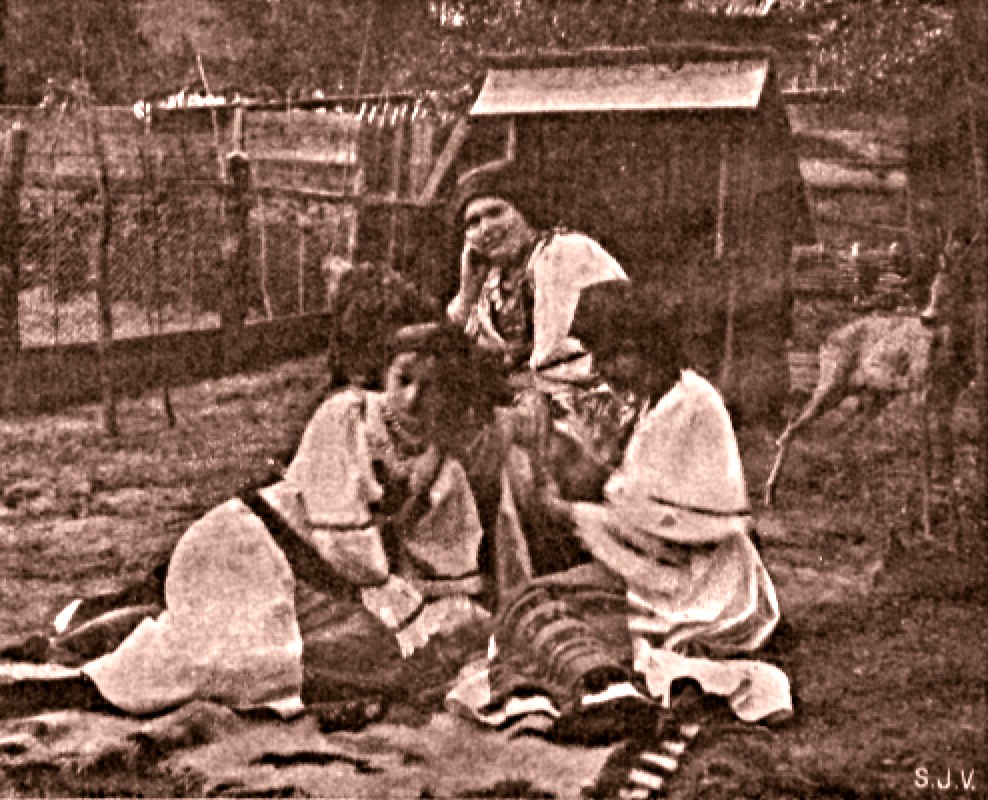 Românce din Bucovina