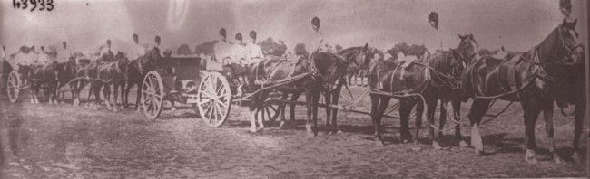 GALLICA; Artileria română, în 1915